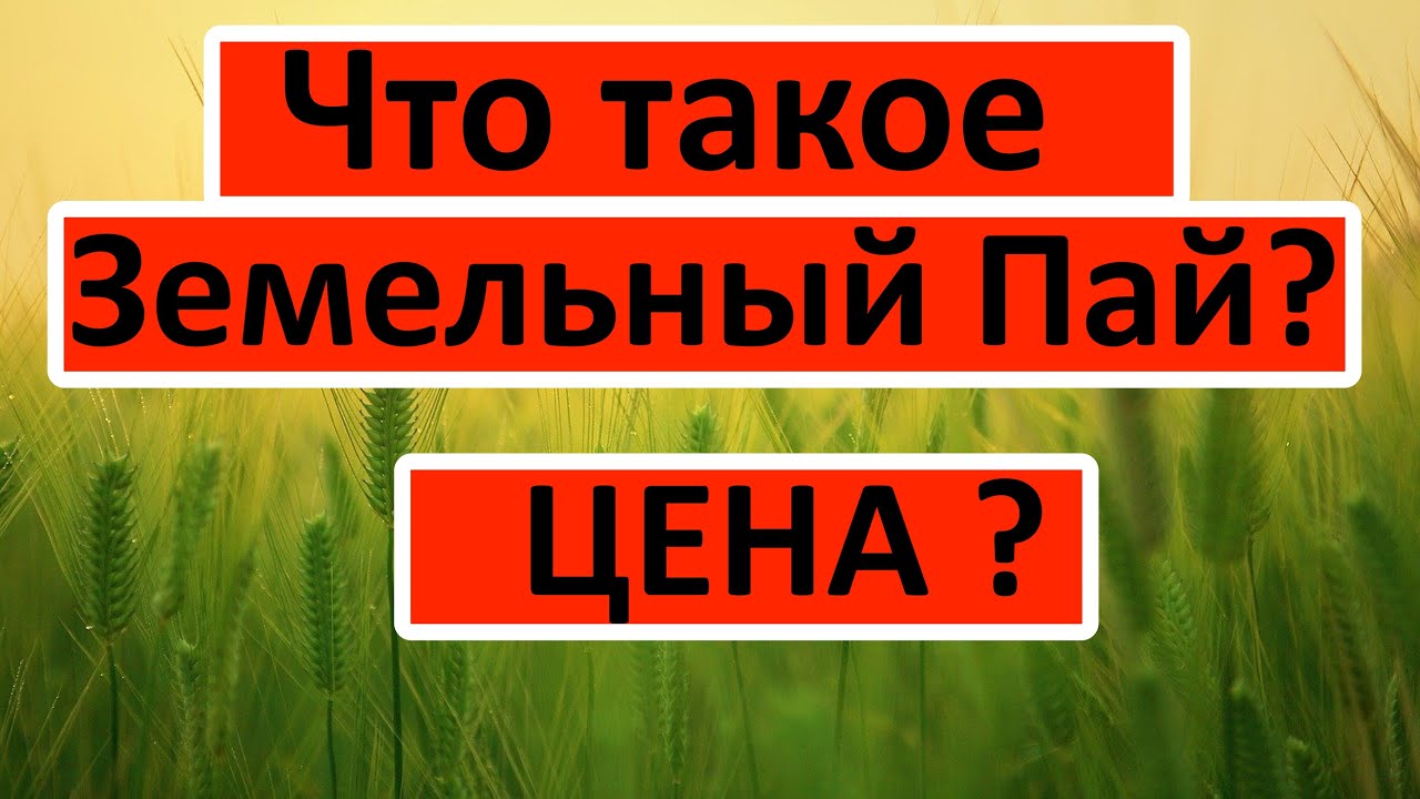 Покупка земли оптом - что это такое и как это работает